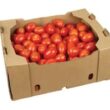 TOMATE CAIXA 18KG Atacado (Demonstração)