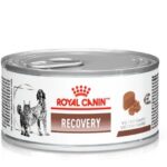Recovery Royal 195g tag