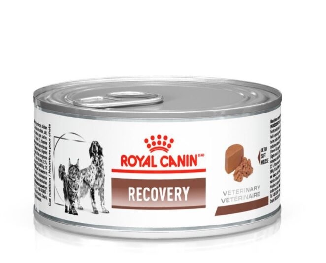 Recovery Royal 195g tag